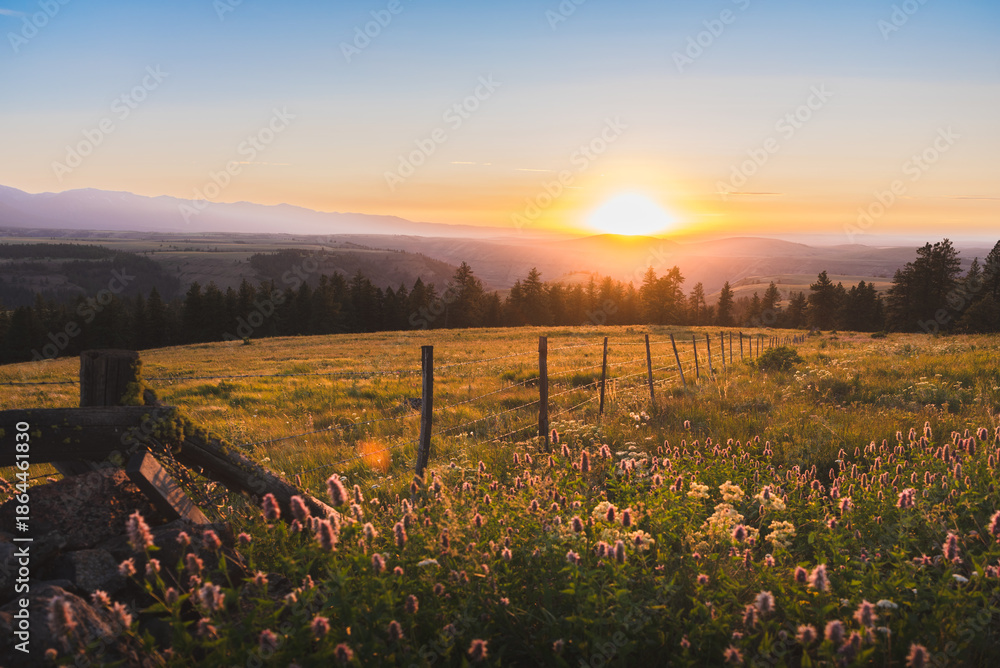 Ταπετσαρία Barbed Wire And Wildflowers At Sunset