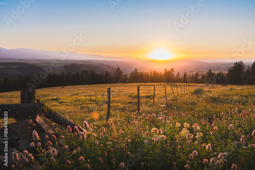 Barbed Wire And Wildflowers At Sunset