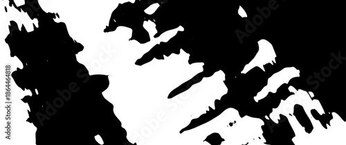 brush strokes texture rough black and white scratches for wallpaper. suit for dirt banner, cover, poster, flyer, background, ads, paint splatter, watercolor design. Vector illustration