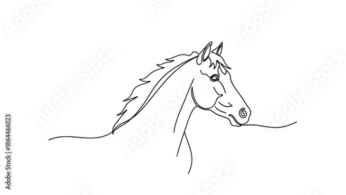 Horse Head Line Drawing Isolated on White Background