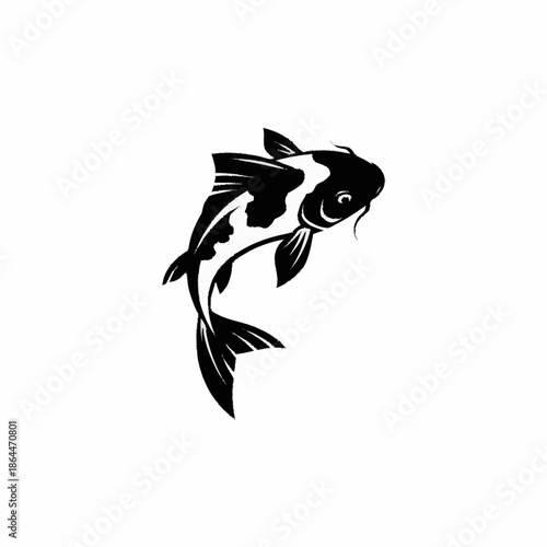 Black and white koi fish swimming gracefully in water.