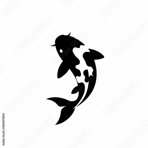 Elegant Black and White Koi Fish Swimming Gracefully.