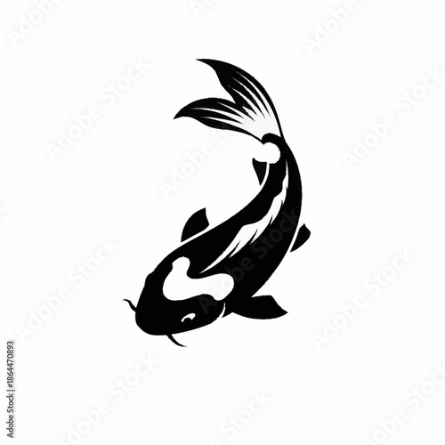Graceful black and white koi fish swimming elegantly.