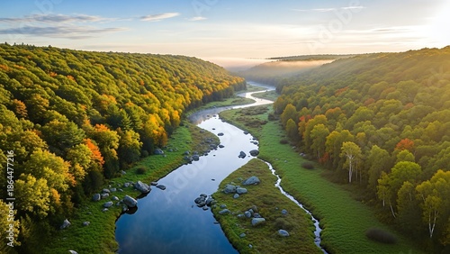 aerial view of a serene river flowing through a lush forest landscape.