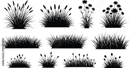 Set of black grass silhouettes, featuring reeds, weeds, and wild flowers for architectural landscape design and nature vector.
