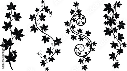 Set of decorative black ivy vine silhouettes, climbing plant scrolls with leaves, floral ornament patterns, cad drawing flat vector illustration.
