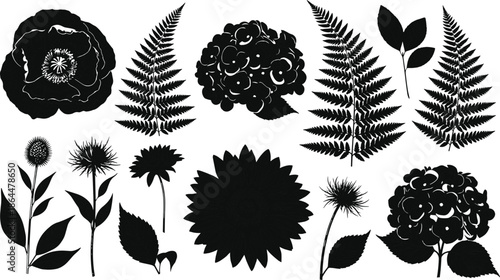 Set of detailed floral silhouettes, black poppy fern sunflower and hydrangea nature collection, botanical garden elements, cad drawing flat vector illustration.