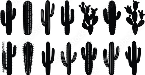 Set of different desert cactus silhouettes, Mexican succulent plants with sharp spines, botanical collection, cad drawing flat vector illustration.