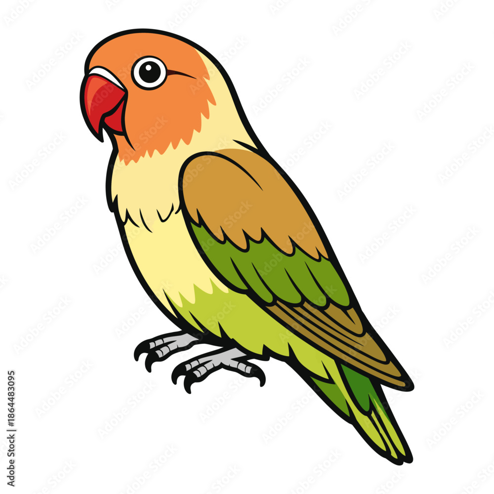 Fototapeta premium Cinnamon Lovebird