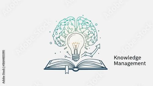 Brain Lightbulb Open Book Knowledge Management Concept.