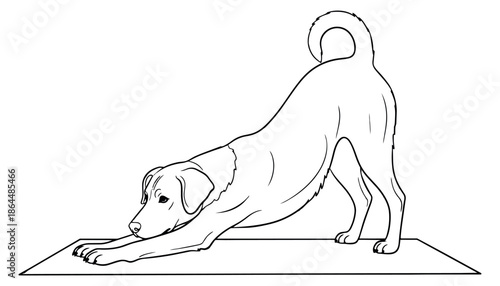 Hand drawn line art illustration of a dog depicting a downward dog yoga pose for wellness and pet themes
