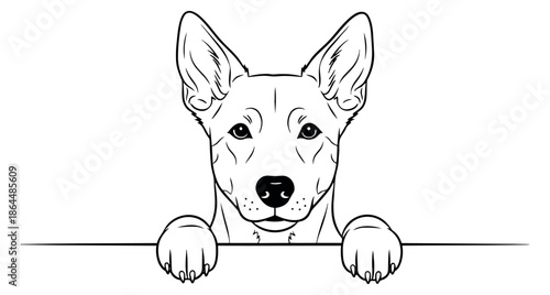 Hand drawn line art illustration of a dog depicting peeking with its front paws over a border for pet related projects