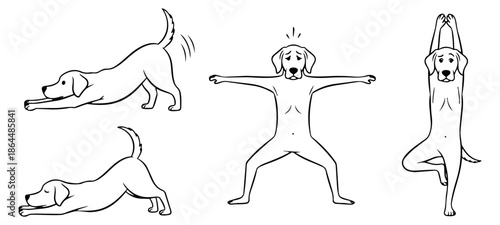 Hand drawn line art dog yoga poses set featuring dogs stretching and meditating for pet health and wellness