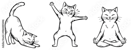 Hand drawn line art cat illustrations set featuring three cats stretching, playing, and meditating for pet and wellness designs