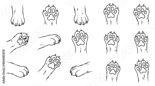 Hand drawn line art cat paw set featuring illustrations in various poses for animal themed designs