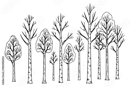 Hand drawn line art tree set featuring deciduous trees with bare branches for nature and woodland designs