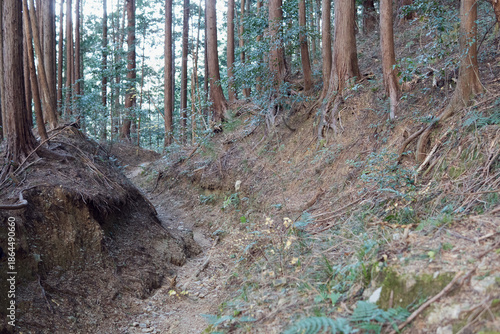 日本：細い山道【奥武蔵】埼玉県越生町・1月