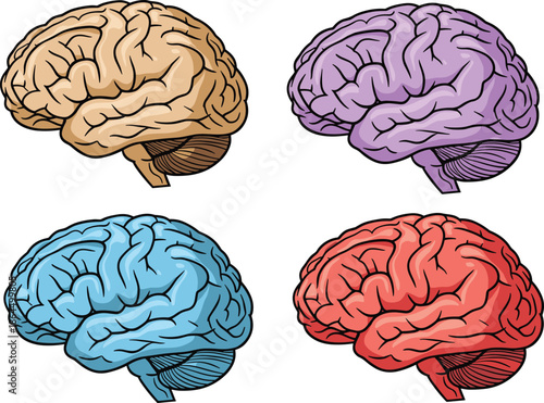Set of Four Colorful Human Brain Illustrations in Side View Representing Psychology Intelligence Mental Health Science Education and Creative Thinking Processes