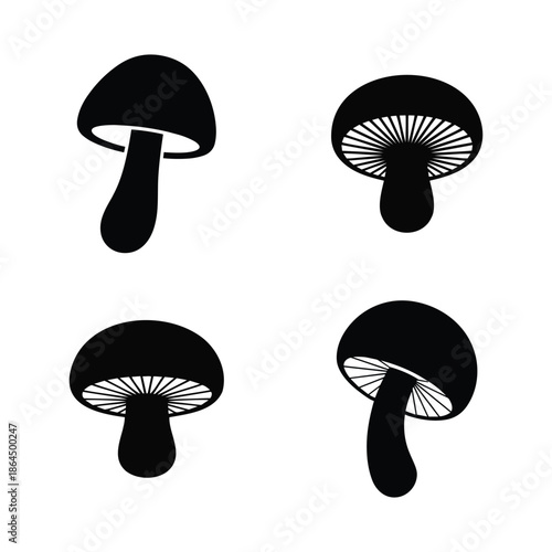 Four different mushrooms isolated on white background, Vector, illustration
