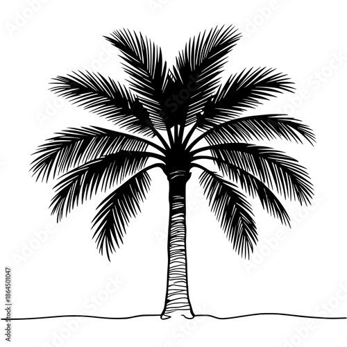 palm tree silhouette
