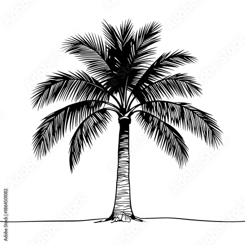 Wallpaper Mural palm tree silhouette Torontodigital.ca