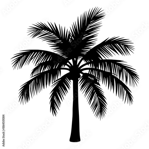 palm tree silhouette