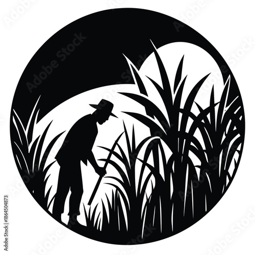 sugarcane harvest scene vector