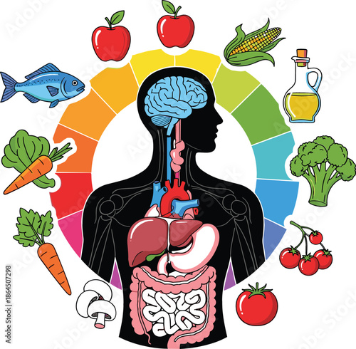 Healthy diet and human anatomy infographic with organic food icons surrounding anatomical silhouette for nutrition and wellness concept