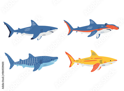 Collection of various shark species including whale shark hammerhead and great white shark isolated on white background for sea life