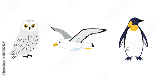 Set of three different birds including a white snowy owl a flying seagull and a standing emperor penguin on white background