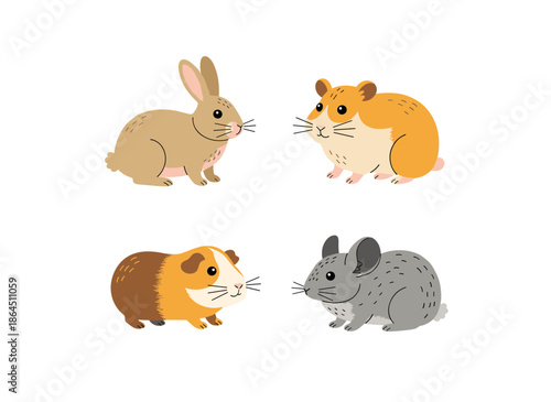 Cute small pets collection featuring domestic rabbit hamster guinea pig and chinchilla characters for children education design