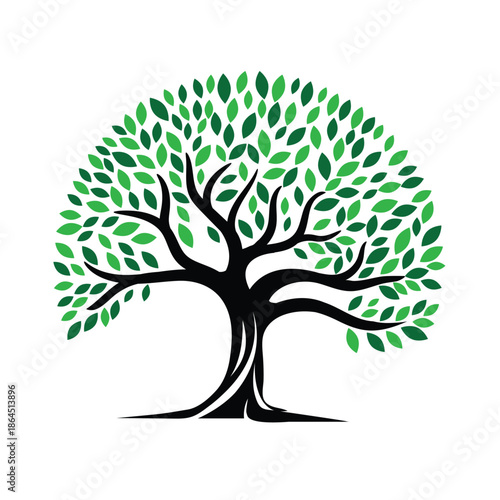 a tree with green leaves and black branches isolated on white background
