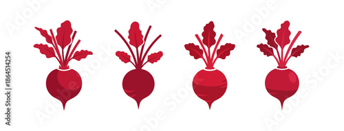 Set of Fresh Beetroot Illustrations Showcasing Healthy Eating Concepts and Vibrant Vegetable Designs for Culinary and Nutritional Themes