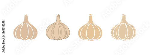 Four distinct vector illustrations of whole garlic bulbs, a fundamental aromatic ingredient in global cuisine, ideal for cooking and healthy food themes