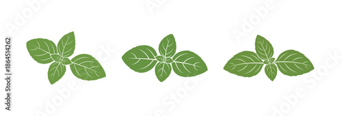 Three sprigs of fresh green basil leaves, representing natural herbs and healthy culinary ingredients