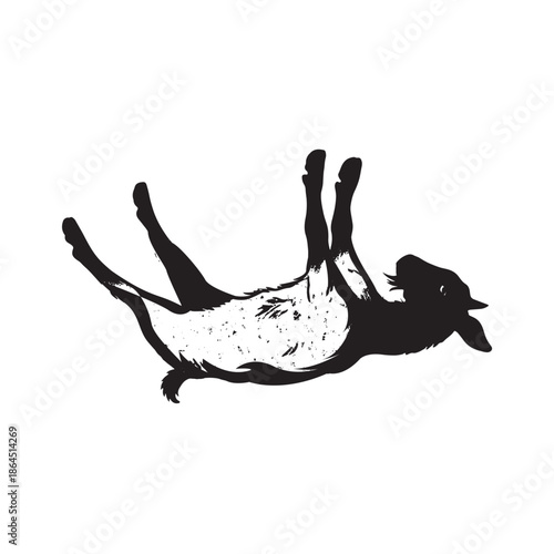 black silhouette of a fainting  goat lying on its back isolated on white background with legs up