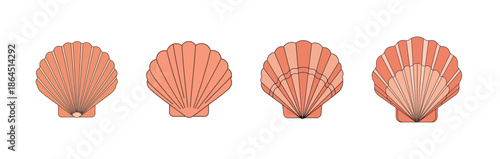 Illustrative progression of scallop shells, evolving from a closed state to gradually opening, ideal for designs featuring marine biology, ocean ecology, or the serene beauty of coastal themes