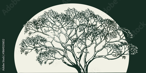 Elegant archway framing a detailed illustration of a flourishing tree