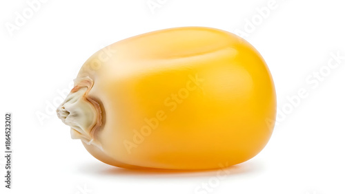 A Close-up View of Maize in Natural Environment