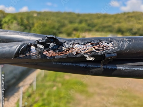 Cuadro en lienzo Close up of damaged twisted aerial bundle cable with melted insulation and exposed copper wire causing dangerous short circuit hazard