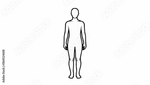 Outline of a human body standing straight on a white background.