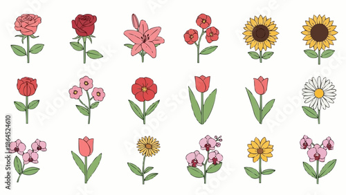 Collection of Various Hand Drawn Flowers Isolated on White Background.