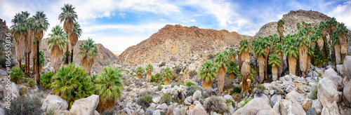 Billede på lærred Scenic Green Palms at Fortynine Palms Oasis