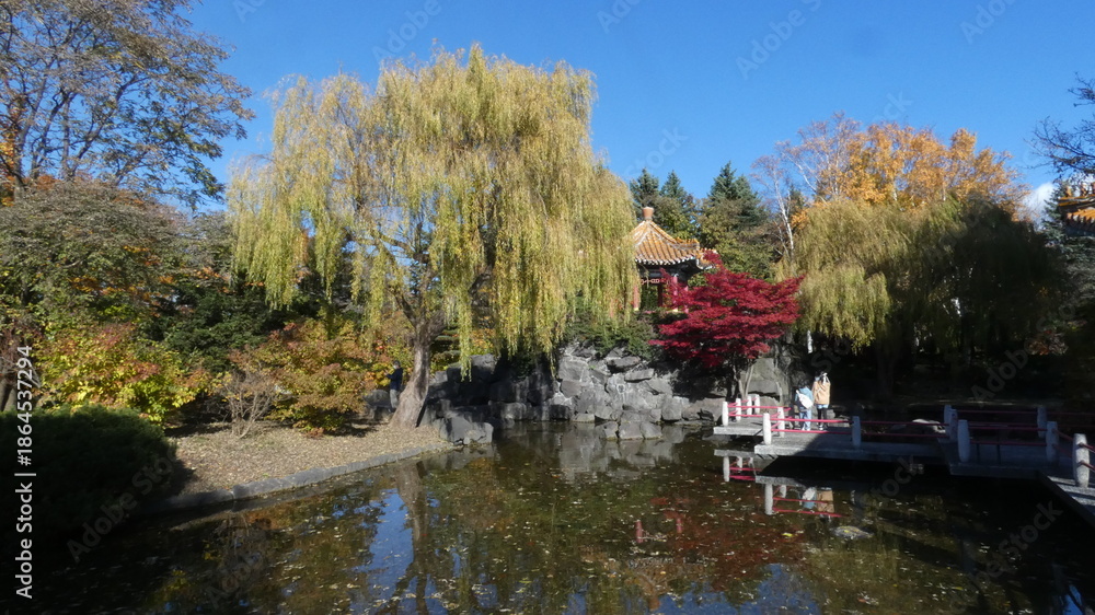 Fototapeta premium 百合が原公園の瀋芳園