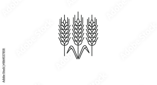 A minimalist black line icon of three wheat ears, symbolizing agriculture, harvest, bakery, and natural food products.