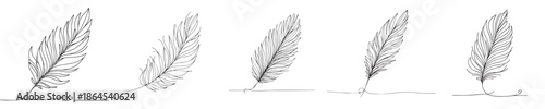 goose feather vector continuous line style