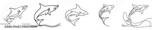 shark vector style continuous line