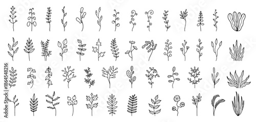 Minimal Branches and vegetation Line Art Set, Vector.