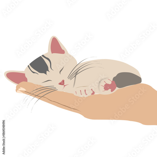 A tiny kitten sleeping in a human's hand