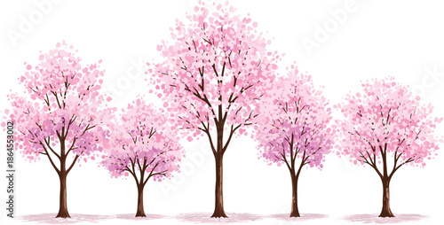 Pink cherry blossom trees vector illustration set isolated on white for spring nature landscape and floral design